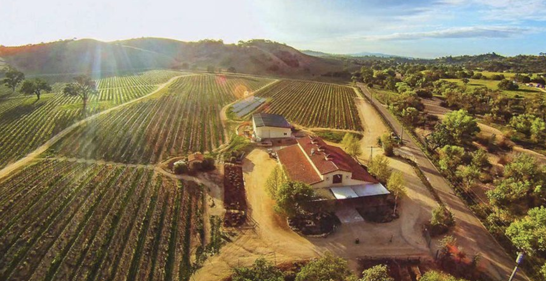 6 Secrets About Paso Robles, A Vibrant Wine Region Of ...
